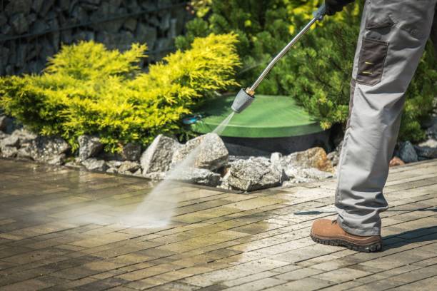 Animal Enclosure Cleaning in Shreveport, LA
