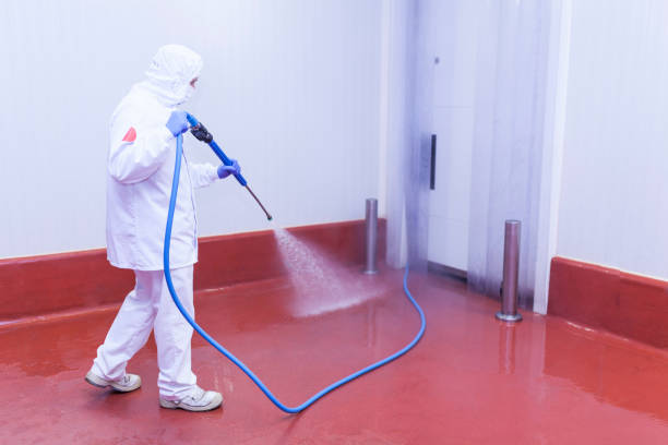 Best Solar Panel Cleaning  in Shreveport, LA